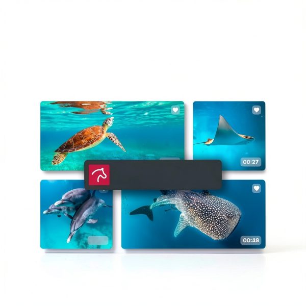 MAGIX Video Editing Software with AI Tools-4